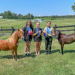 TFS pony team brings home blue ribbons from Kentucky