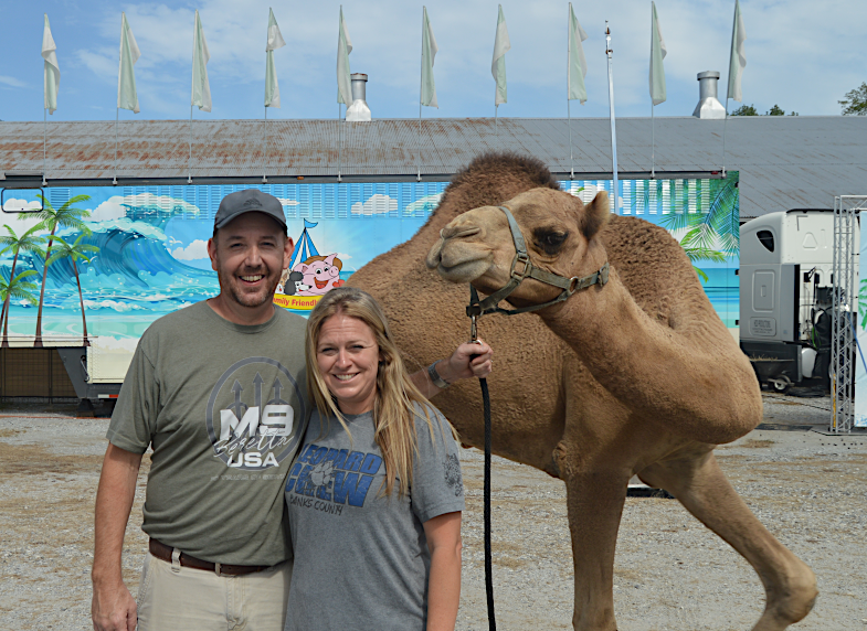 Adam-Shelley-camel copy