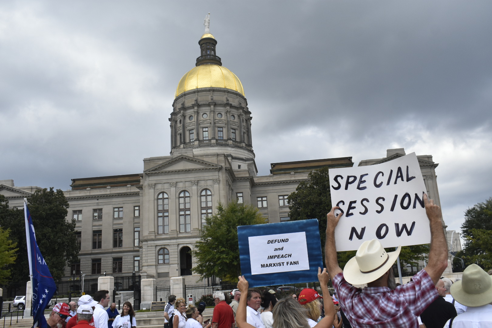 Georgia Capitol demonstration