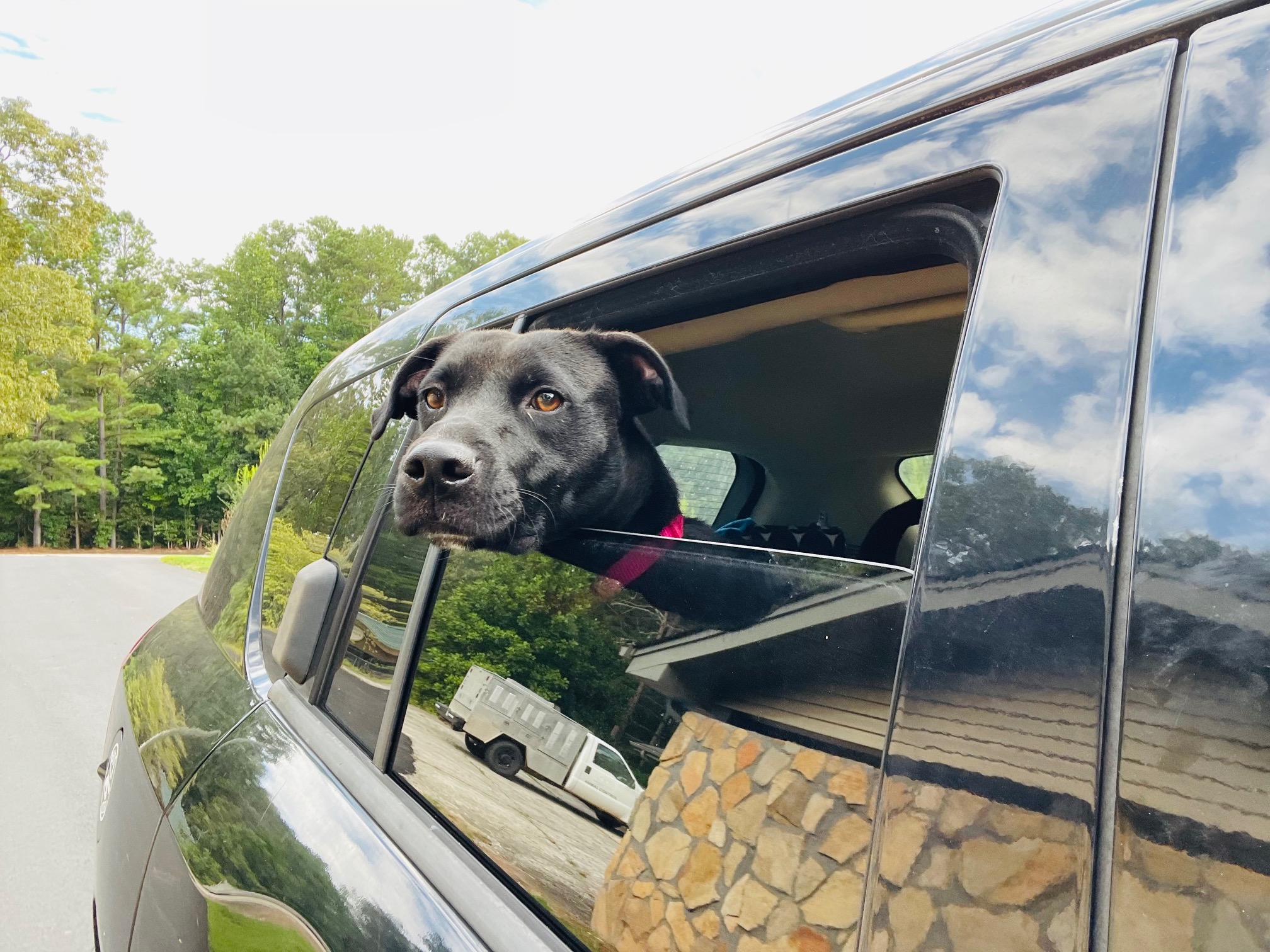 Maggie POW September 4, 20232