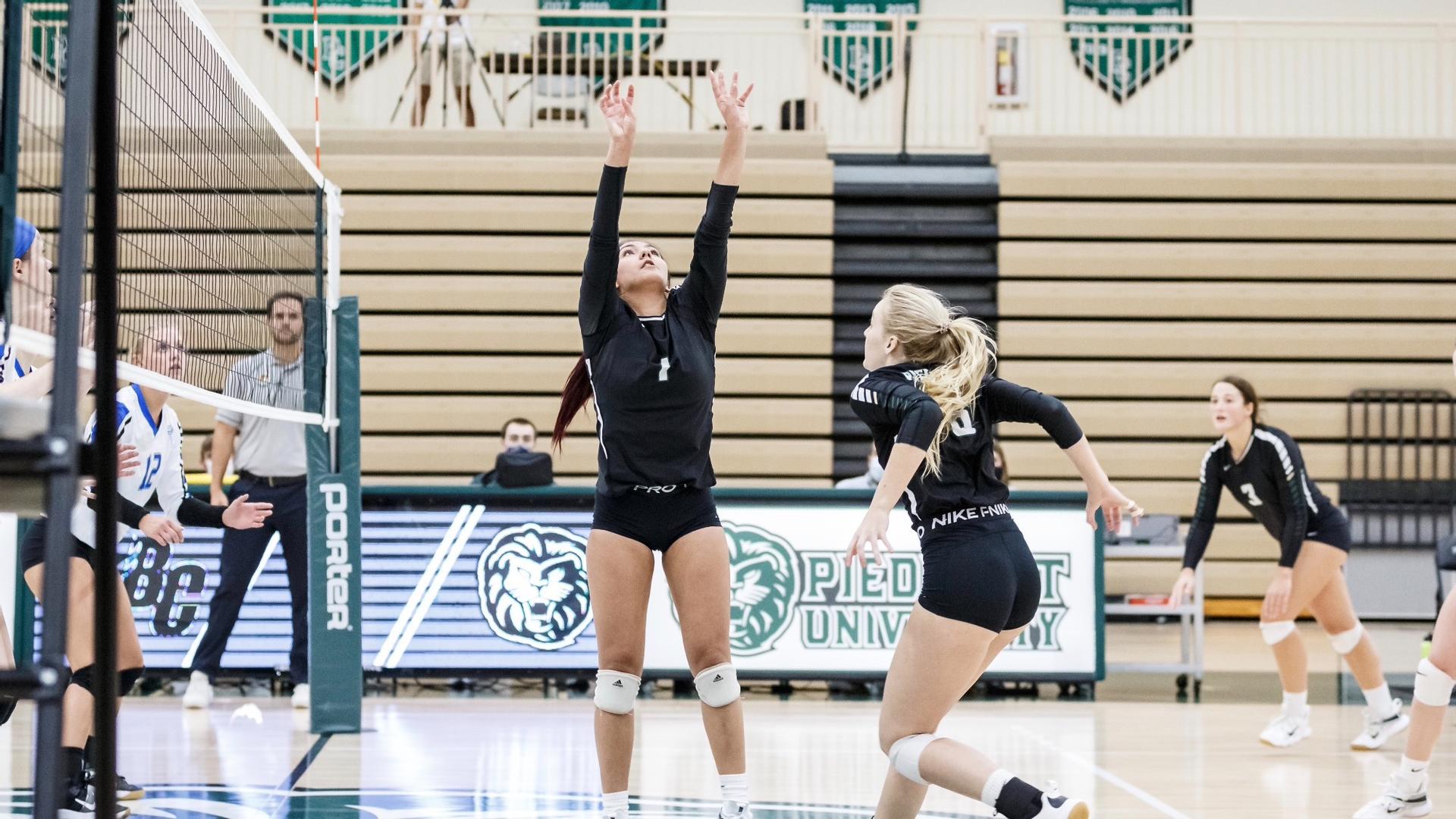Piedmont volleyball 2023