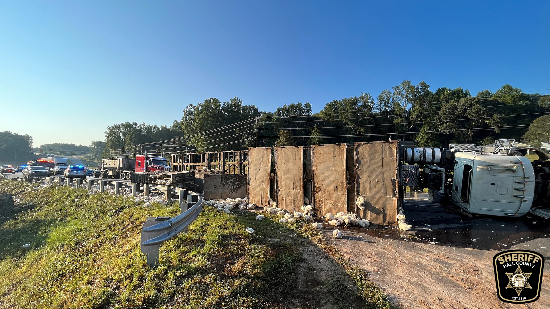 overturned chicken truck on Athens Hwy