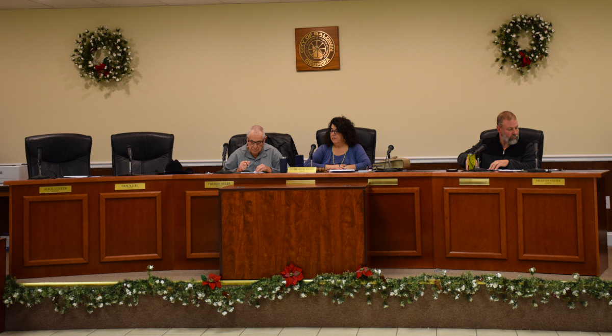 Baldwin council 12-11