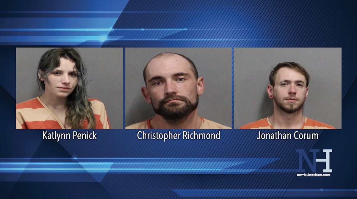 Knock and talk arrests in White County