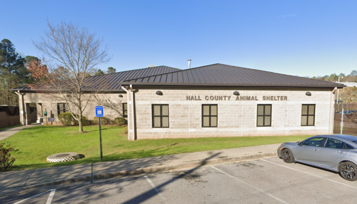 Hall County Animal Shelter