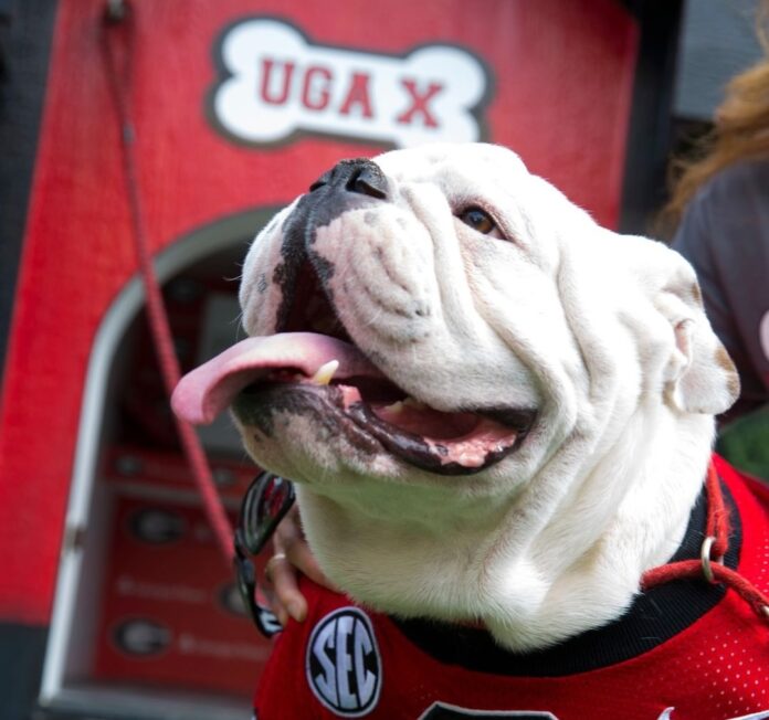 Uga X