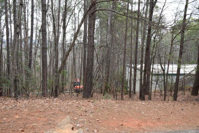 Land clearing for tower