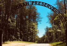 White County seeks grant to expand Yonah Preserve trails