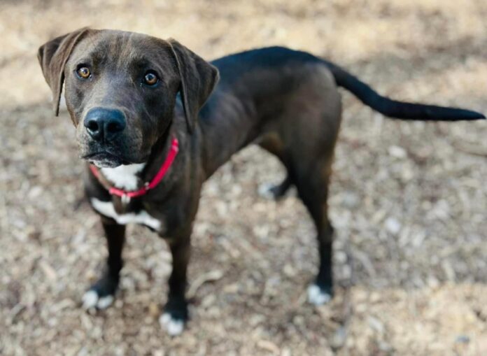 original-85D5529B-2C64-400E-BF58-3C067C37F64F