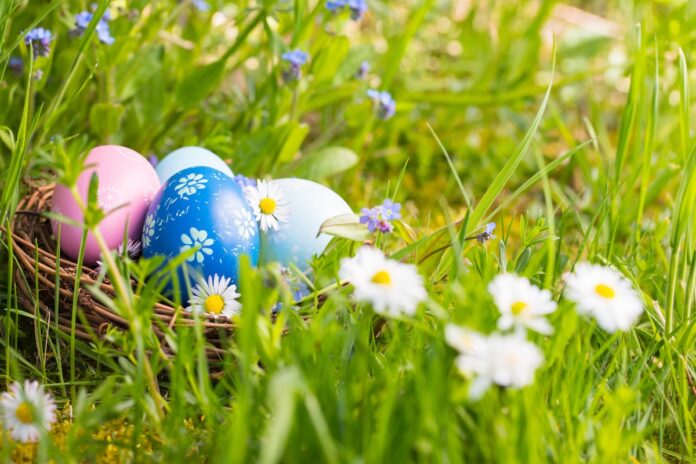 Happy Easter - Nest with easter eggs in grass on a sunny spring day - Easter decoration background