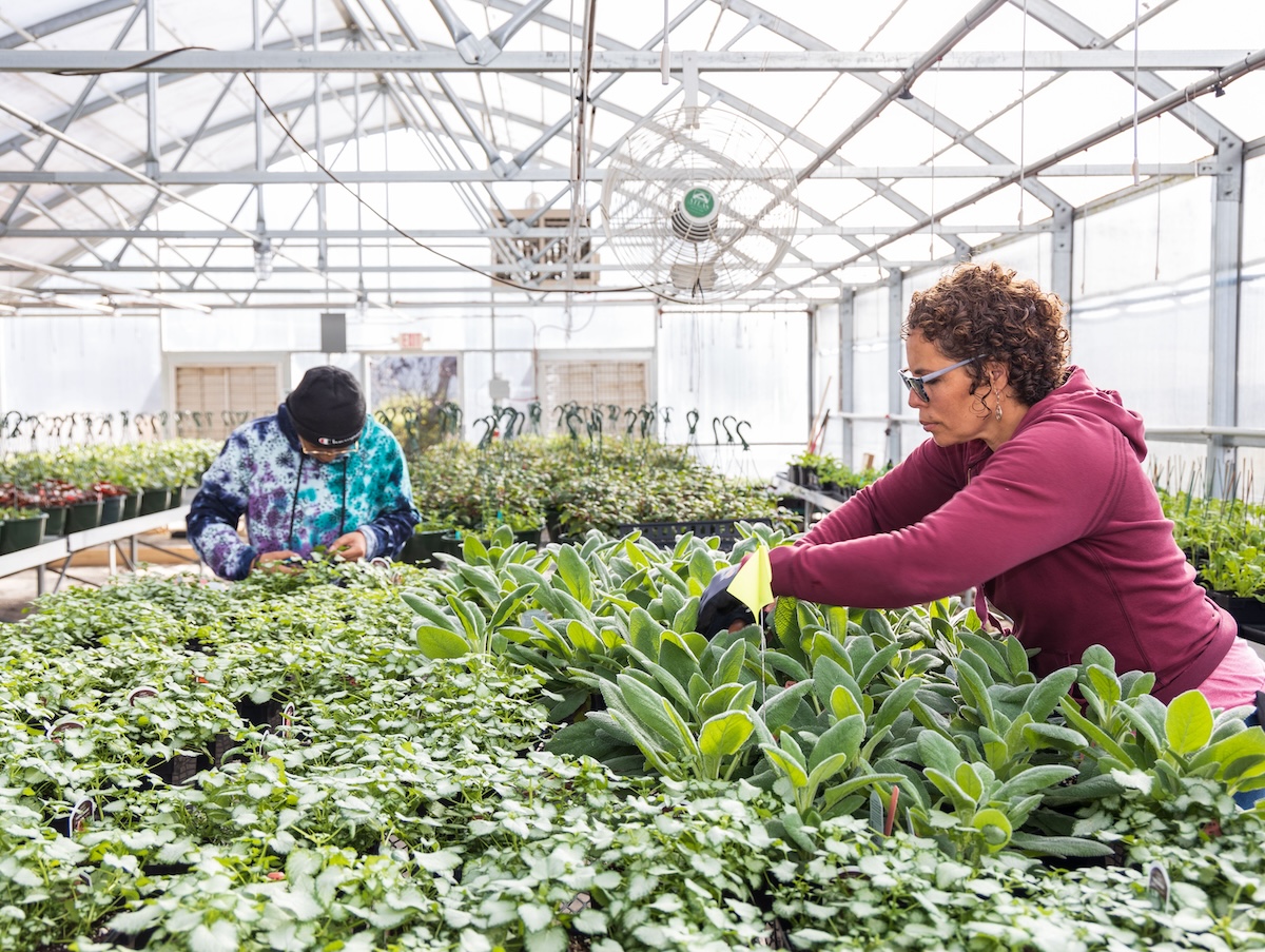 NGTC Spring Plant Sale April 15-18