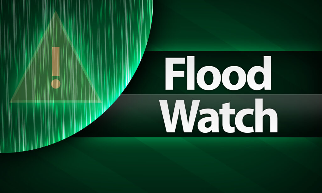 Flood Watch in effect for most of North and West Georgia - Now Georgia