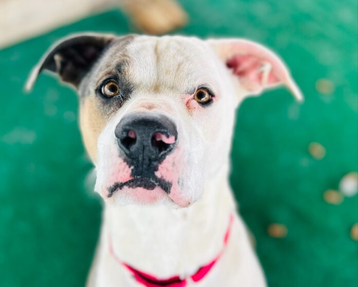 POW Jax April 2, 2024 4