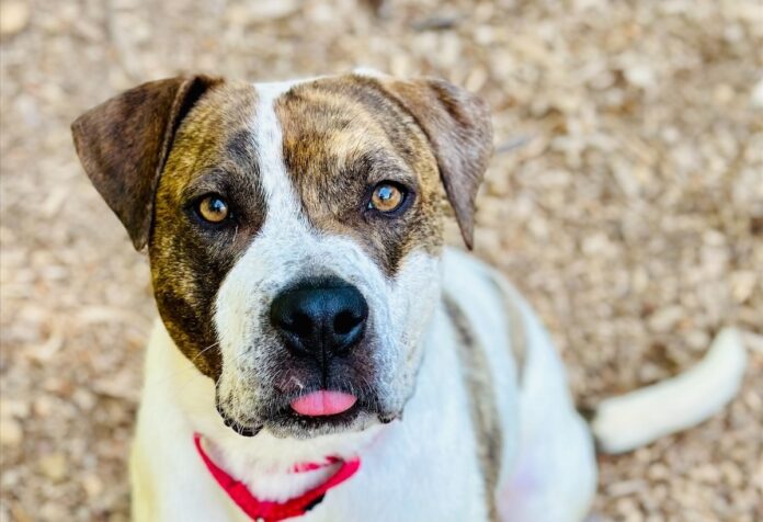 Bear POW May 6, 20246