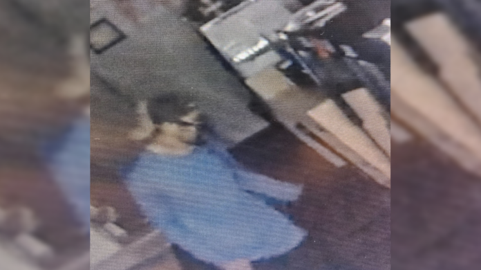 Cornelia break-in suspect