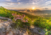 Roads Less Traveled: Misty Mountain Sunset