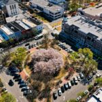 Soul Purpose Band kicks off Gainesville concert series