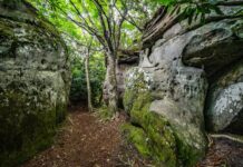 Roads Less Traveled: Changing channels