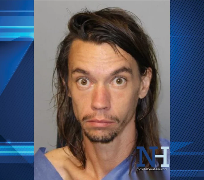 Jullius-Collins-Cropped