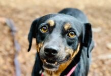 Steve: the quintessential ‘nice guy’