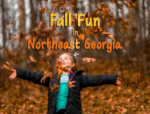 Your fun guide to everything fall in Northeast Georgia