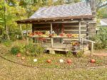 Clarkesville’s History Harvest & Fall Festival returns Oct. 5