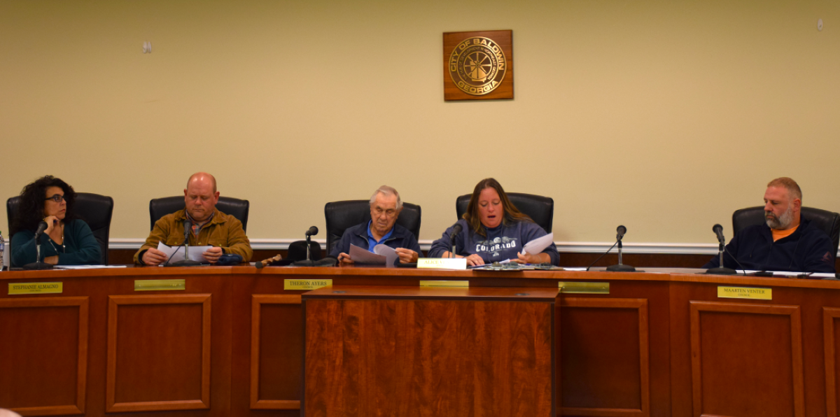 Baldwin City Council general 11-4