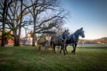 A Victorian Christmas to remember at Hardman Farms