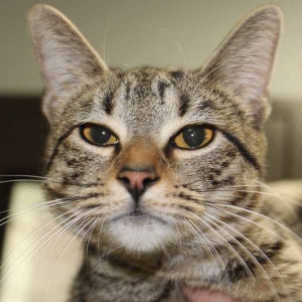 Feliz-e1734470996955