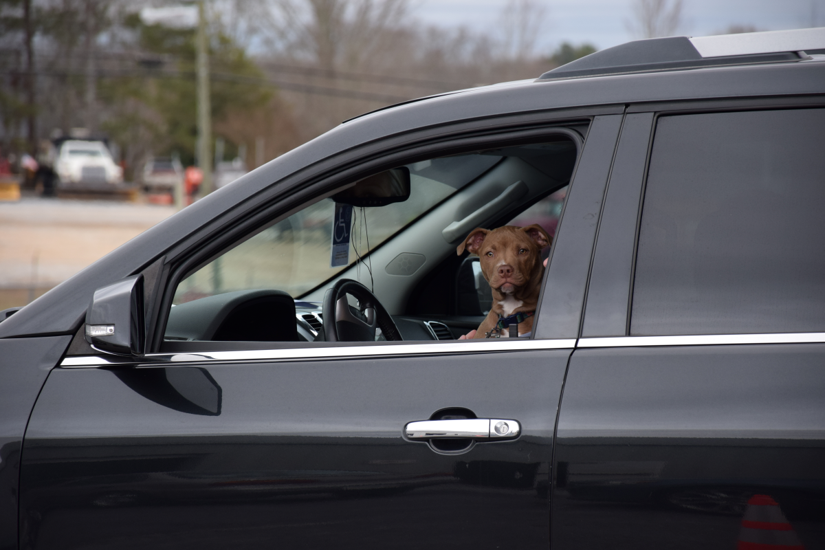 Georgia waits for free clinic