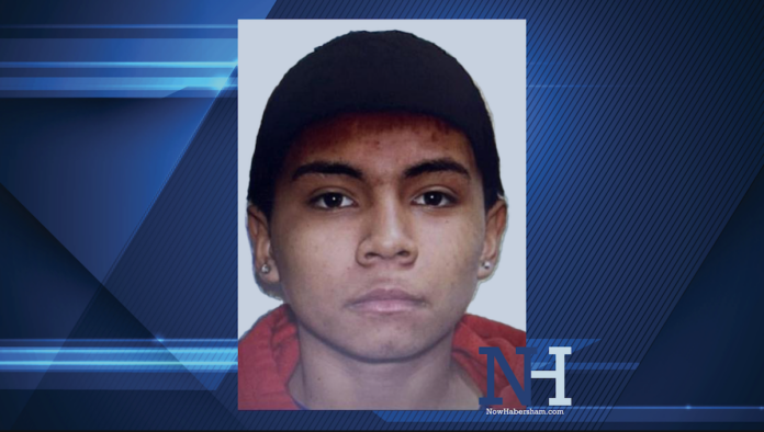 Gainesville murder suspect