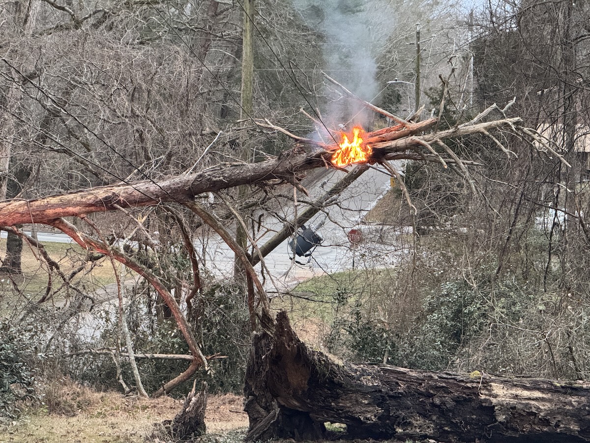 Downed tree knocks out electricity in Clarkesville - Now Georgia