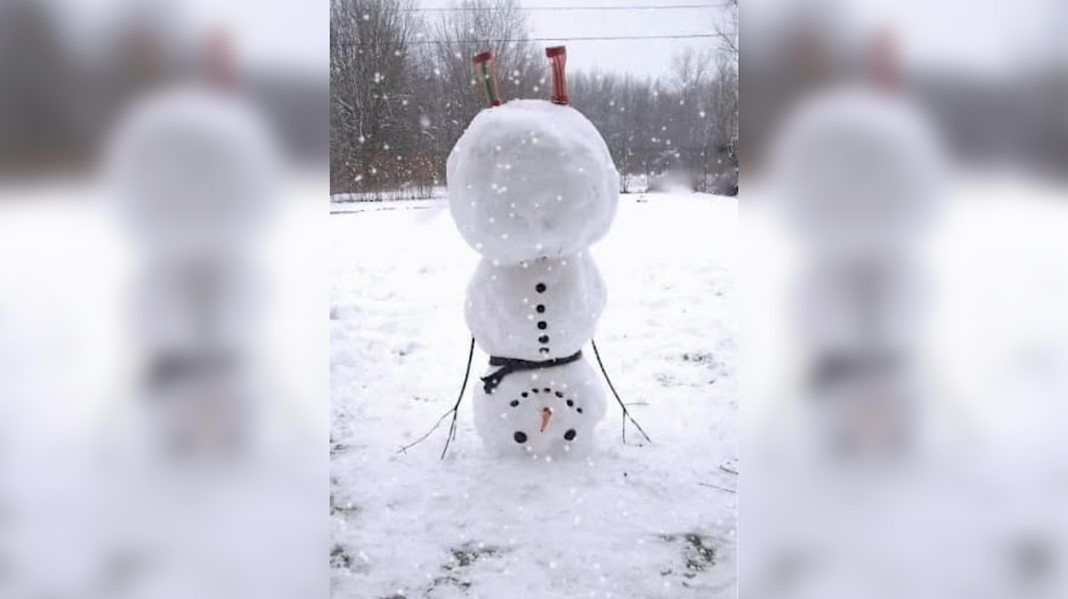 upside down snowman