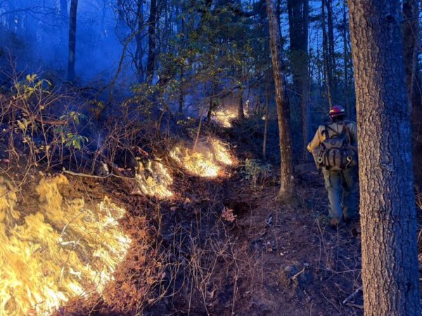 Big Ridge Fire grows in Rabun County; Carolina wildfires force ...