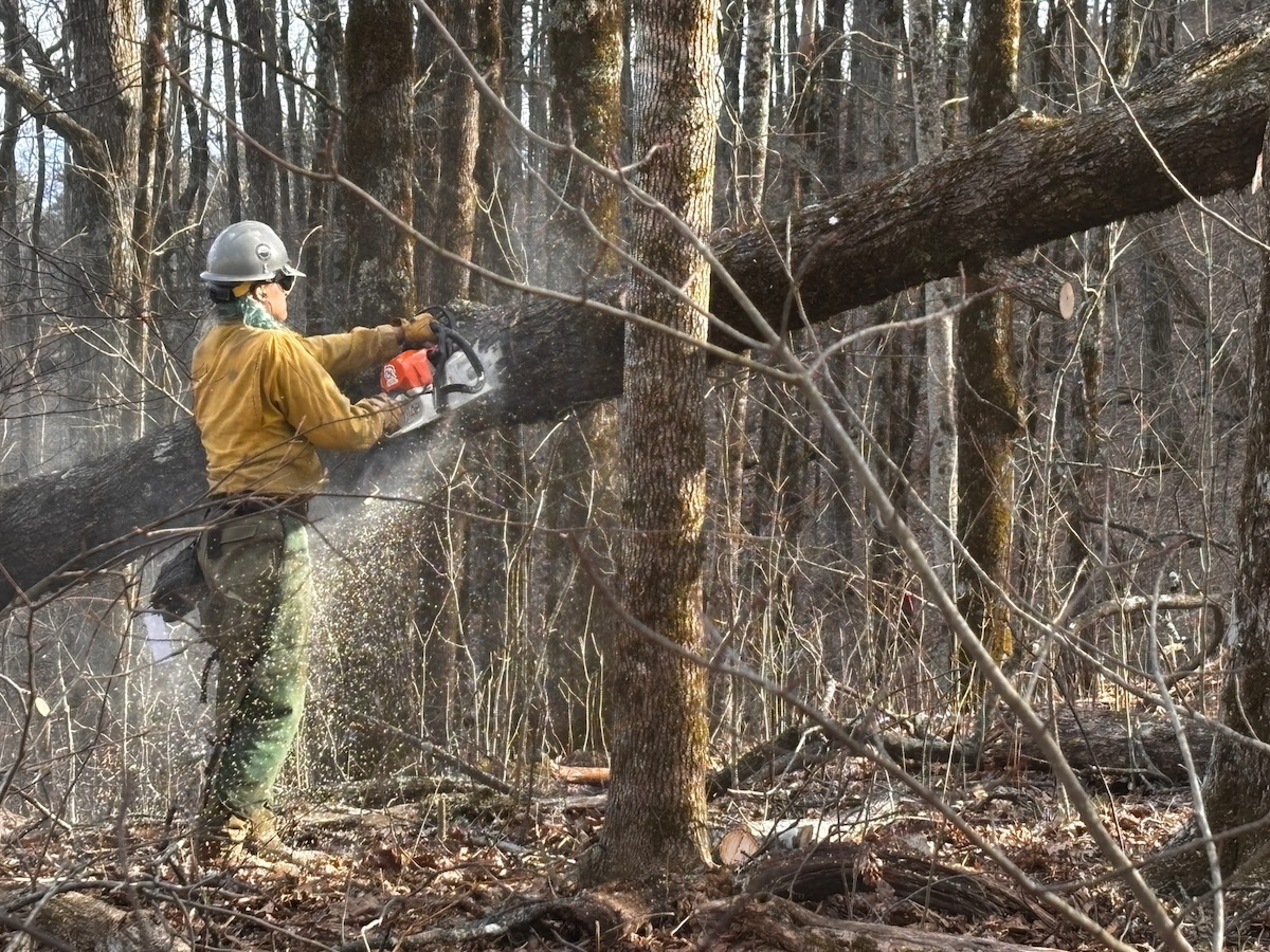 Big Ridge Fire still 88% contained as forecast calls for more rain ...