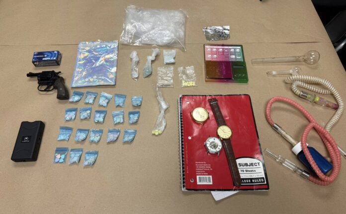Irwin County LASP drug bust2