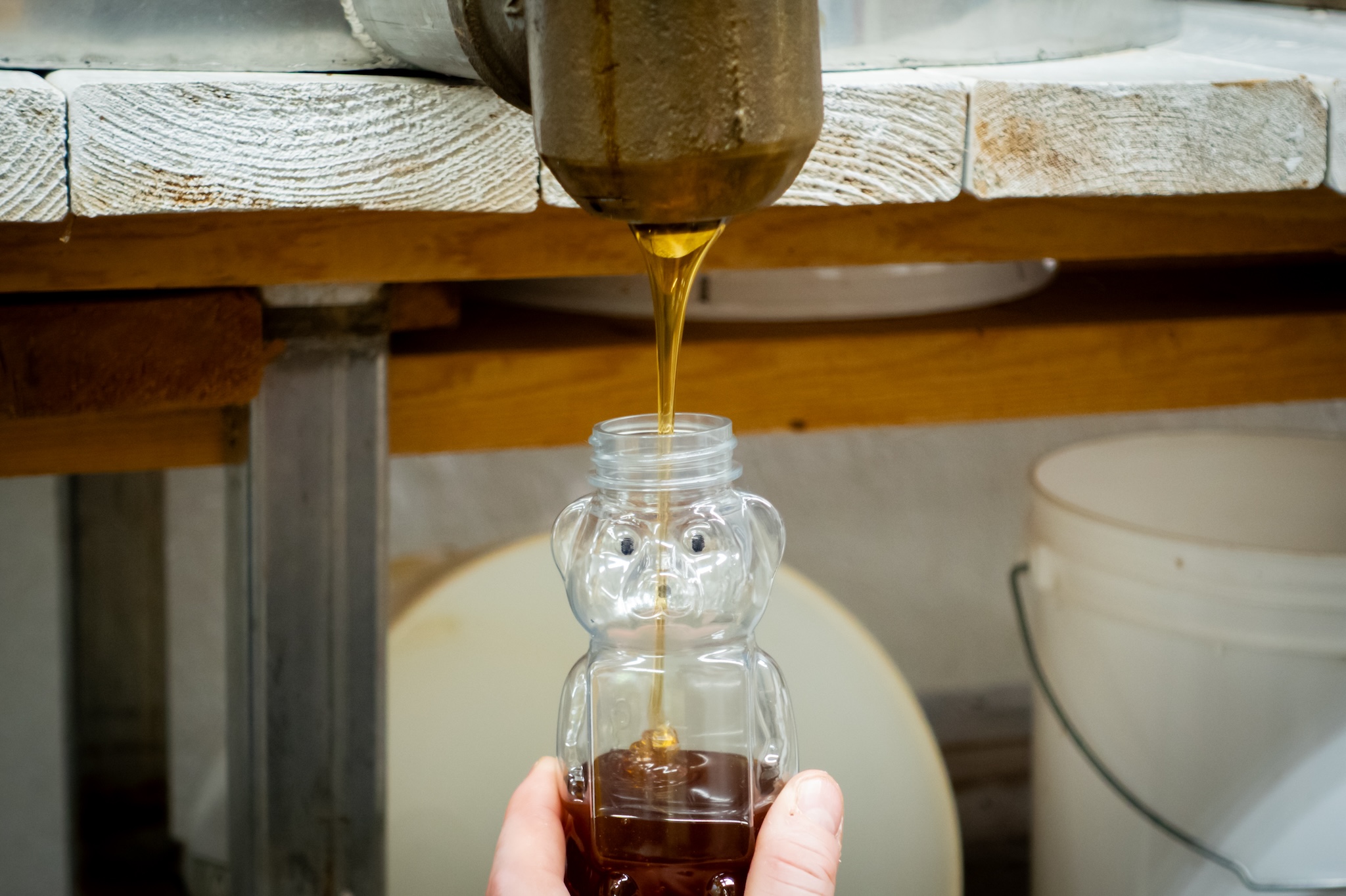 World's best honey flows from the heart of Habersham - Now Georgia