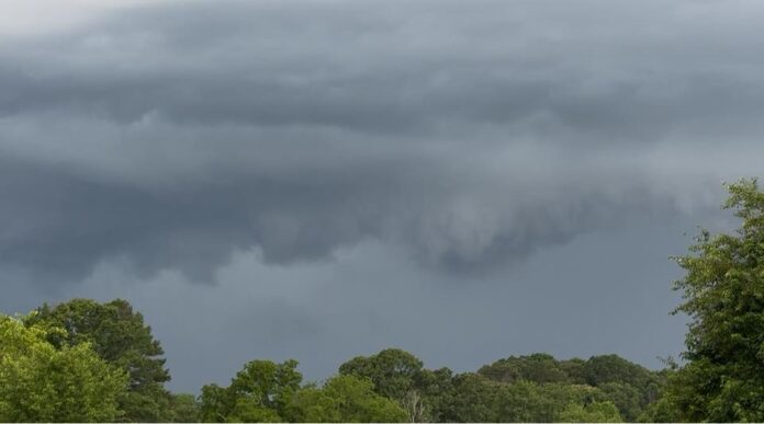 jenniferkempeyclarkesville