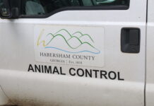Demorest delays vote on county animal control agreement
