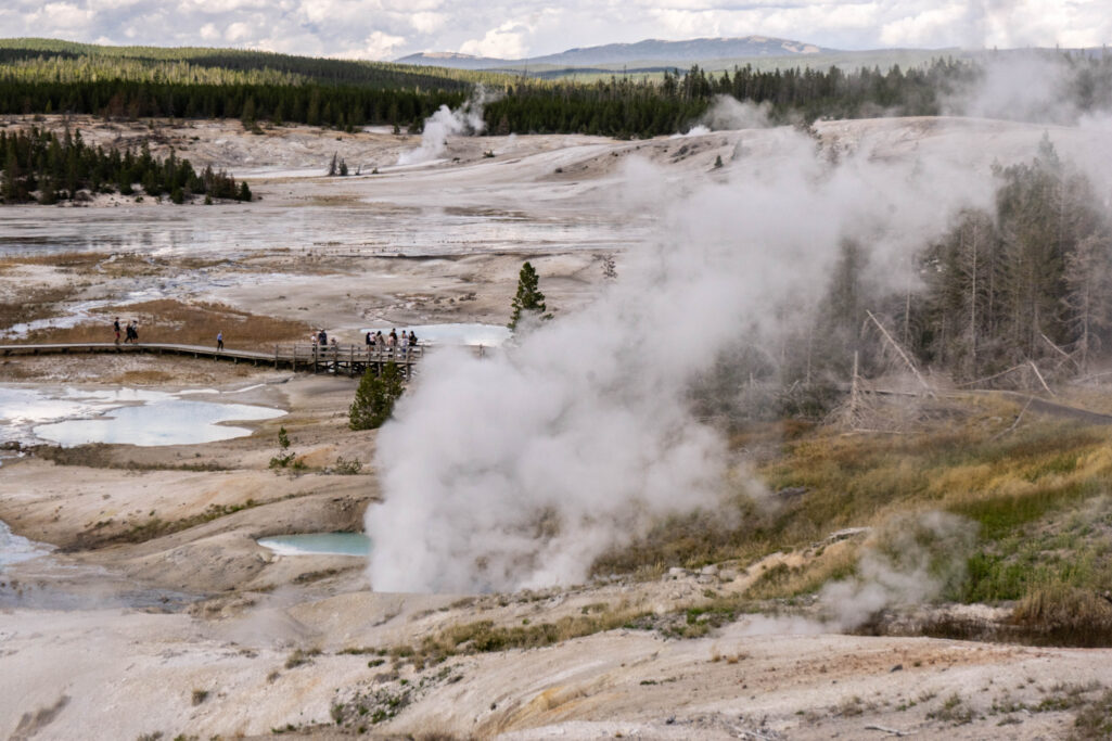 Go West, young man: Norris Geyser Basin