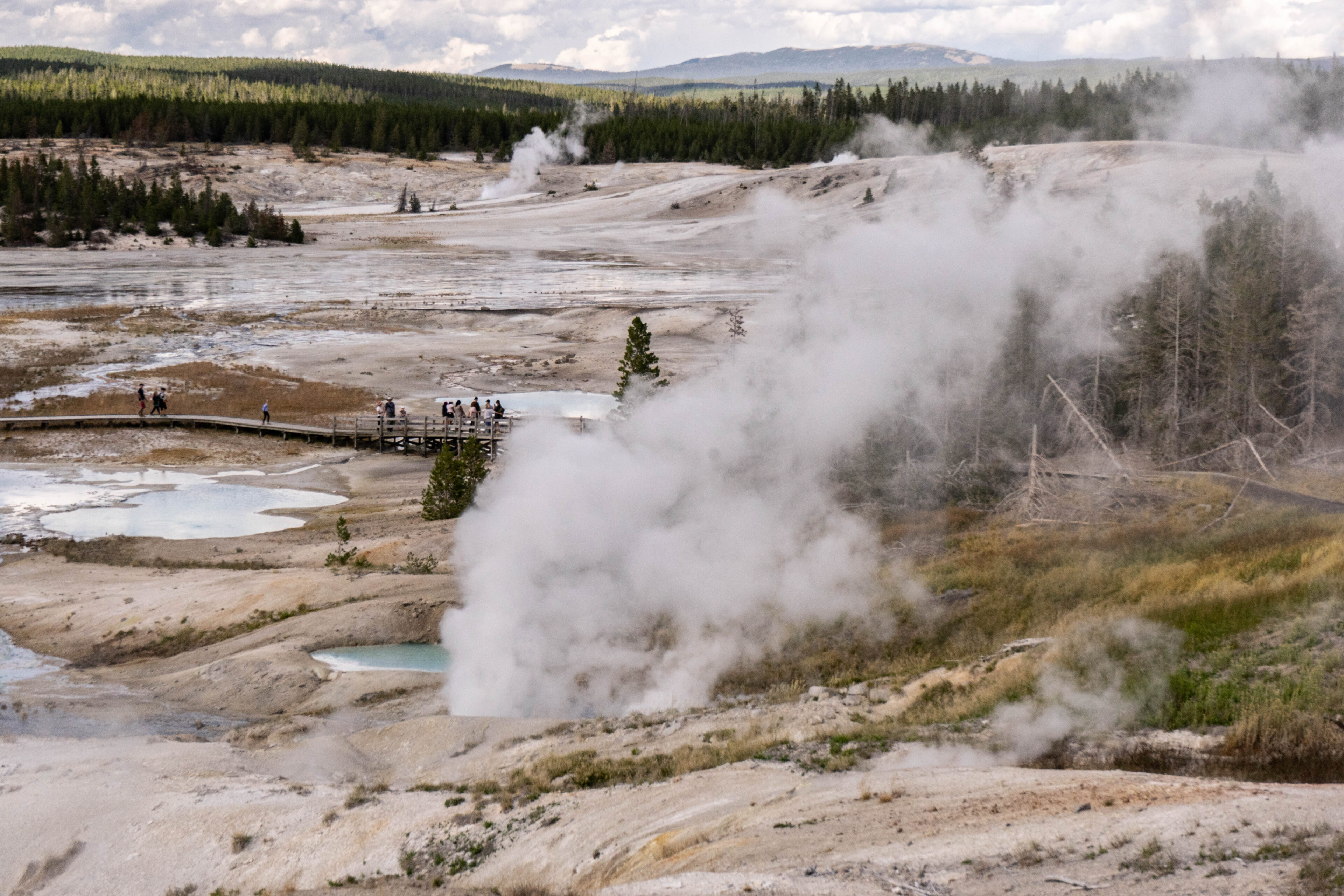 Go West, young man: Norris Geyser Basin