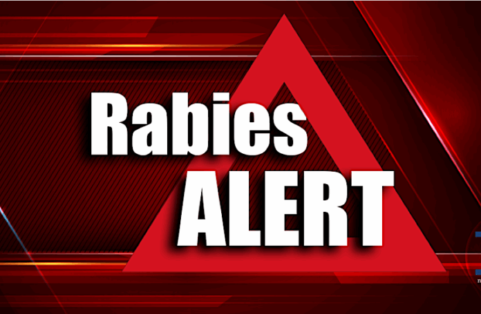 Rabies Alert gfx
