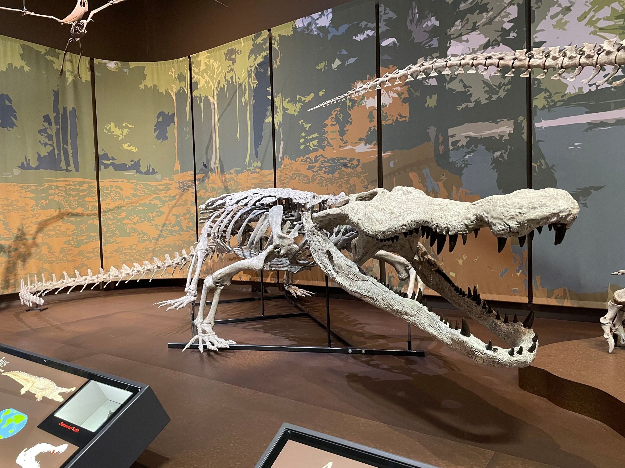 Deinosuchus-schwimmer.jpg