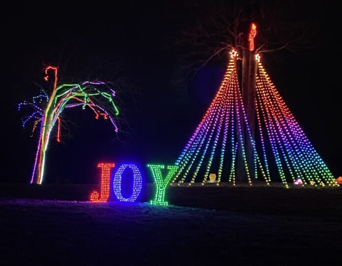 Red Bird Acres Christmas lights 3