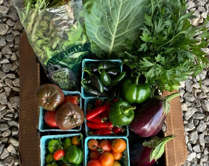 processed-43368A6B-8C7C-4187-A9C6-0A9A23A7CABD