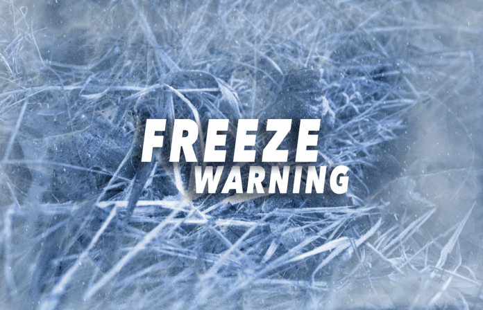 Freeze Warning