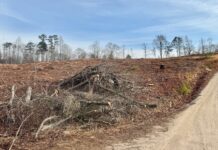 Baldwin moves ahead with Cook annexation hearings as legal questions linger