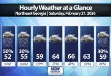 Northeast Georgia Daily Forecast