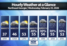 Northeast Georgia Daily Forecast