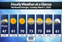 Northeast Georgia Daily Forecast